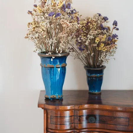 Podere Ristella - Wine&food Farm stay