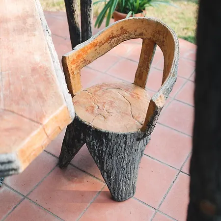 Podere Ristella - Wine&food Montemassi